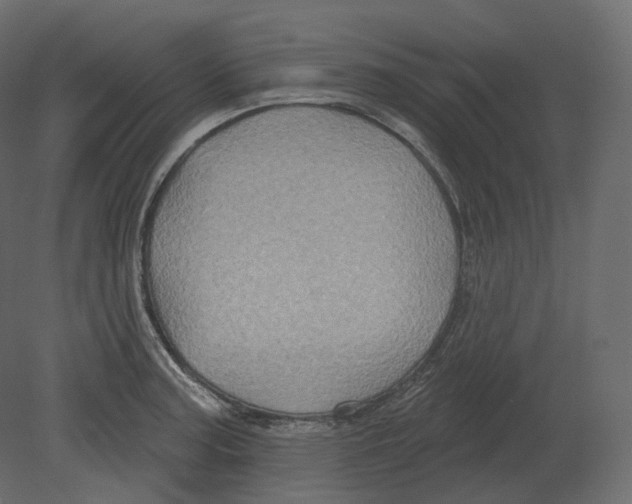 X0000080691187200701121717