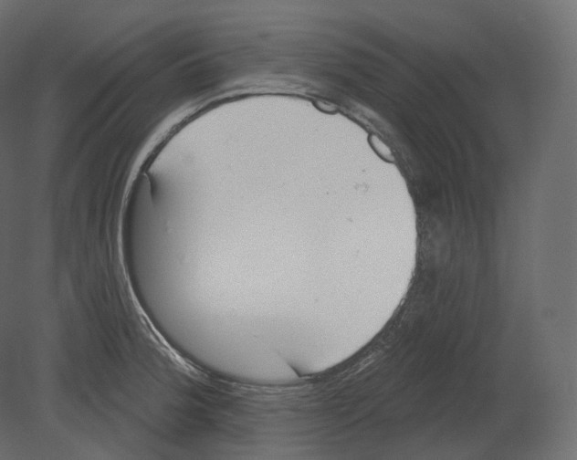 X0000080691188200701121717