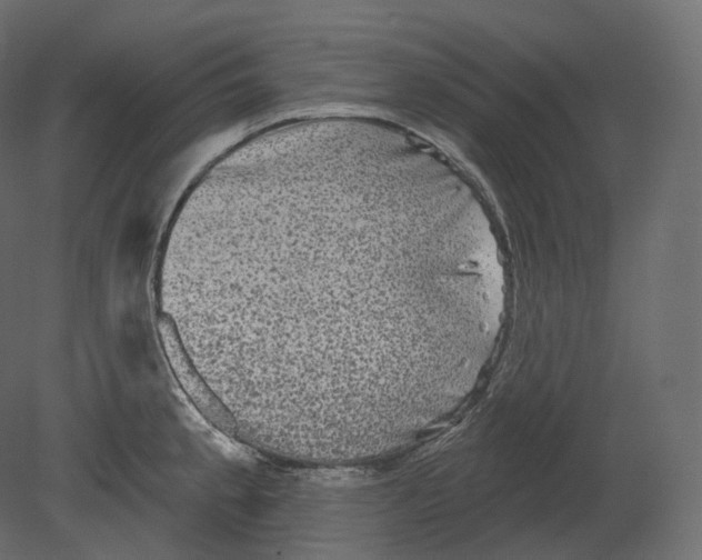 X0000080691189200701121717