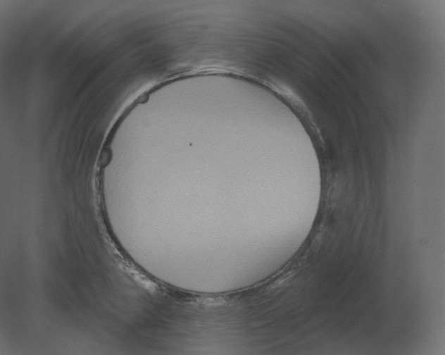 X0000080691190200701121717