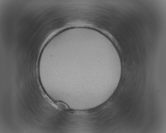 X0000080691191200701121717