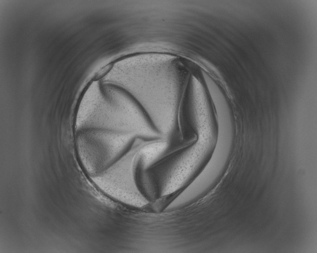 X0000080691192200701121717