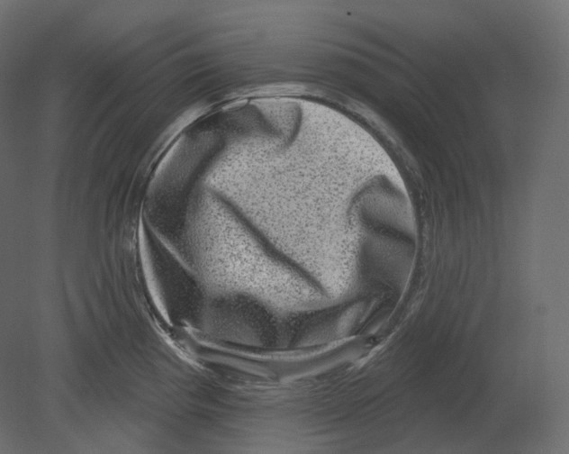 X0000080691193200701121717