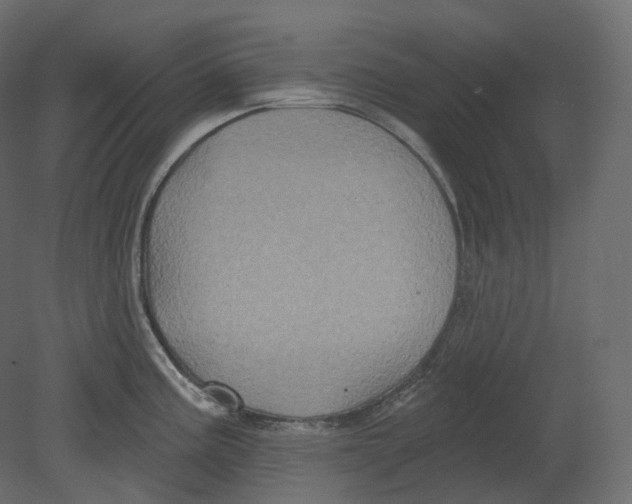 X0000080691195200701121717