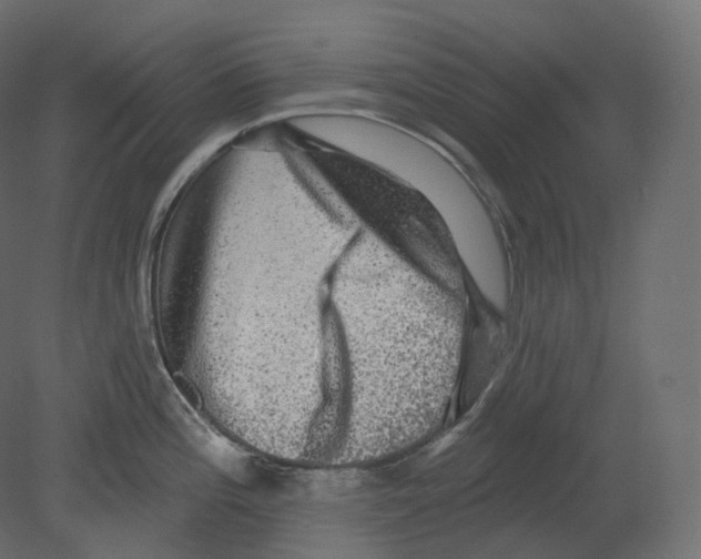 X0000080691196200701121717