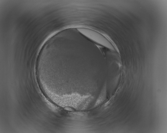 X0000080691197200701121717