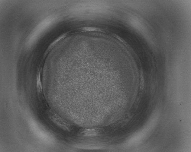 X0000080691198200701121717