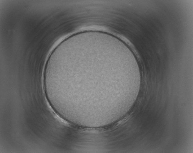 X0000080691199200701121717