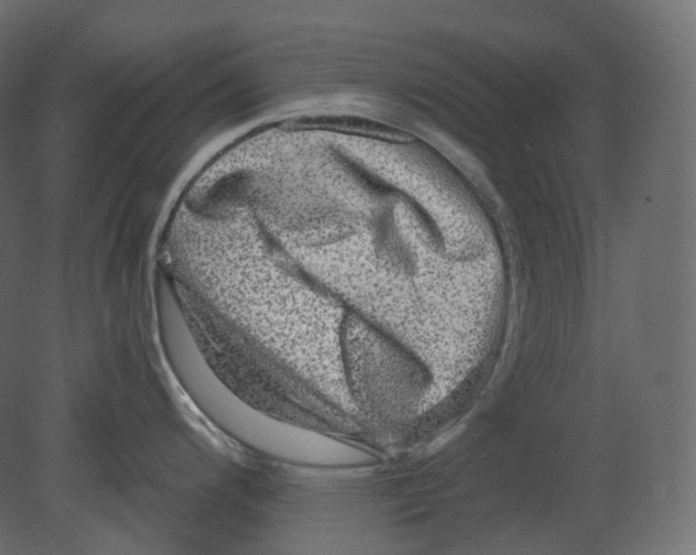 X0000080691200200701121717