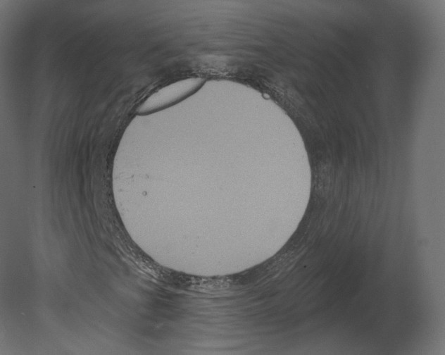 X0000080691201200701121716