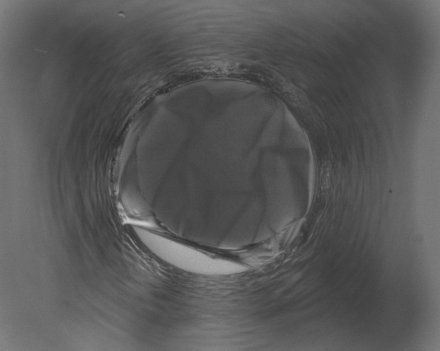 X0000080691202200701121716