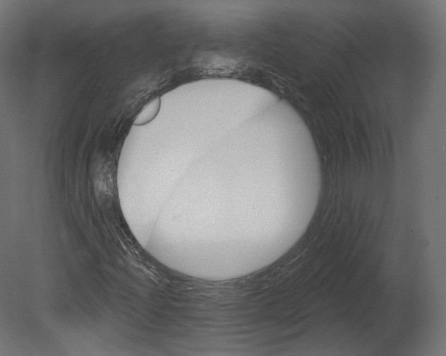 X0000080691204200701121716