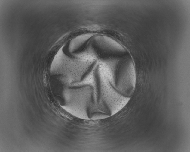 X0000080691205200701121716