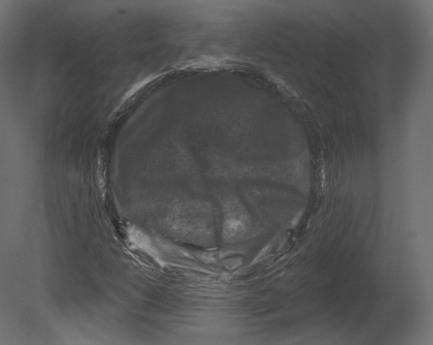 X0000080691206200701121716