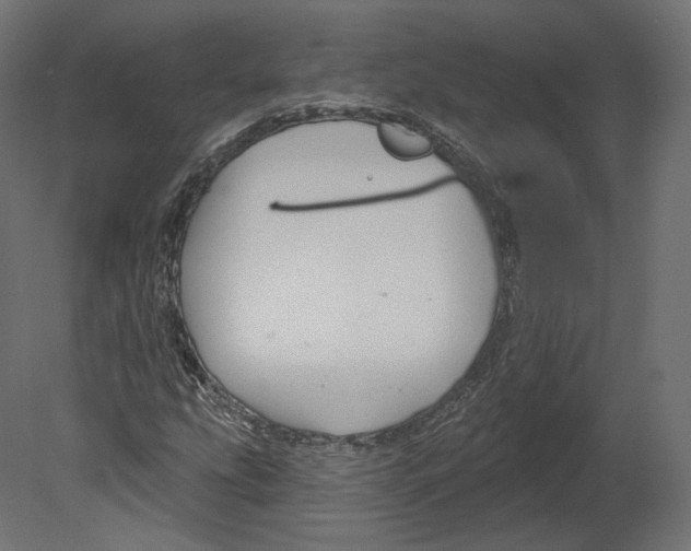 X0000080691207200701121716