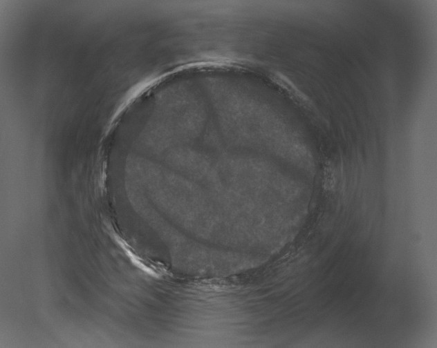 X0000080691208200701121716