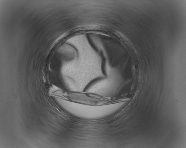 X0000080691210200701121716