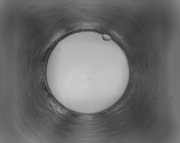 X0000080691211200701121716