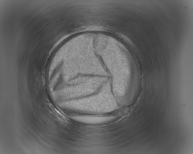 X0000080691212200701121716