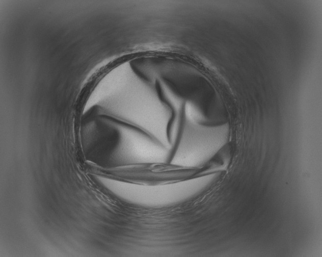 X0000080691214200701121716