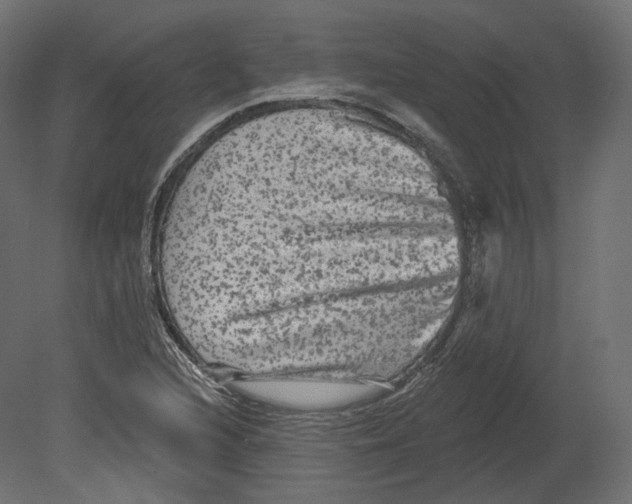 X0000080691216200701121716