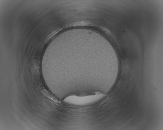 X0000080691217200701121716