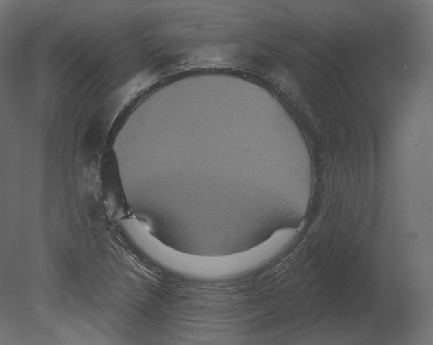 X0000080691218200701121716