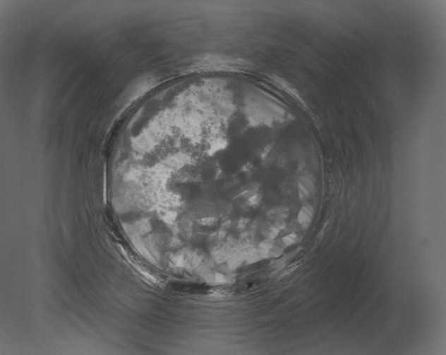 X0000080691219200701121716