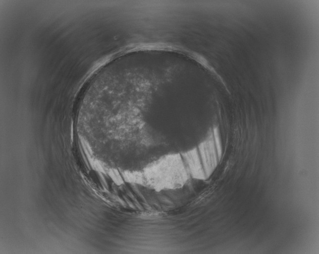 X0000080691221200701121716