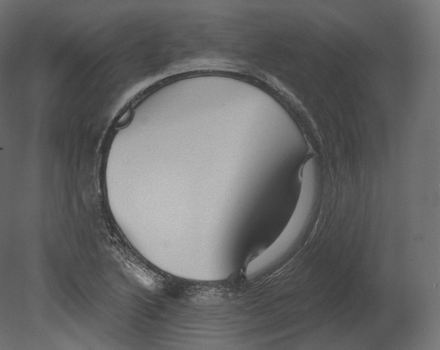 X0000080691222200701121716