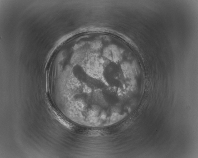 X0000080691223200701121716