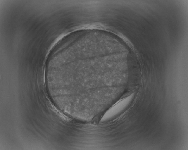 X0000080691224200701121716