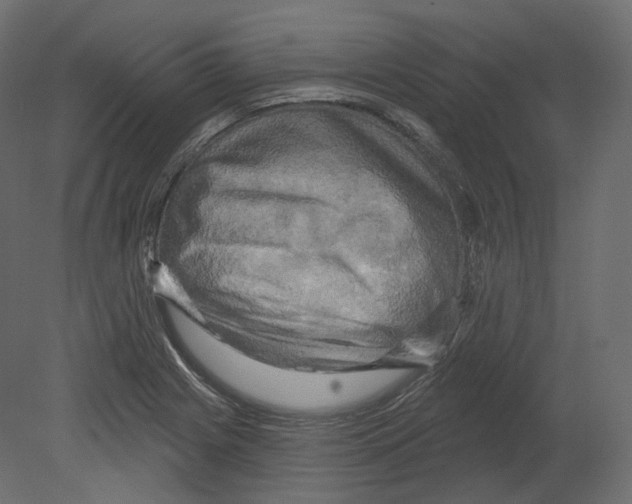 X0000080691225200701121716