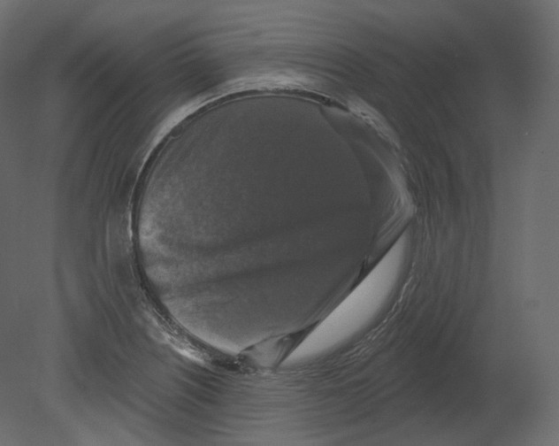 X0000080691226200701121716