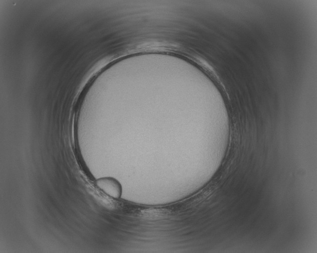 X0000080691227200701121716