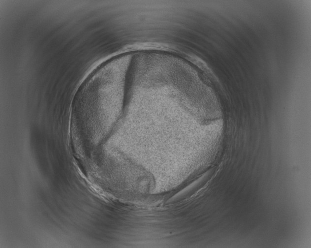 X0000080691228200701121716