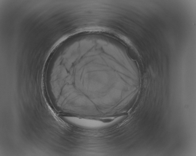 X0000080691229200701121716