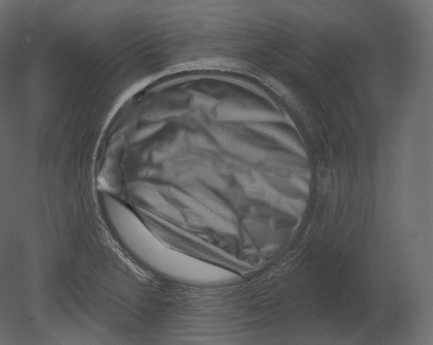 X0000080691230200701121716