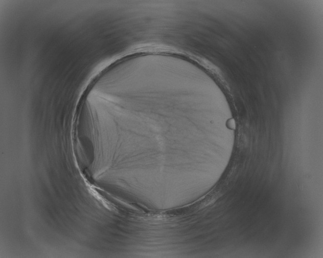 X0000080691231200701121716