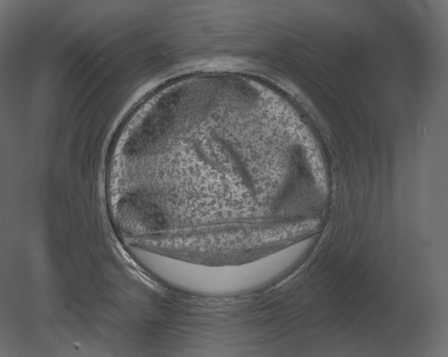 X0000080691232200701121716