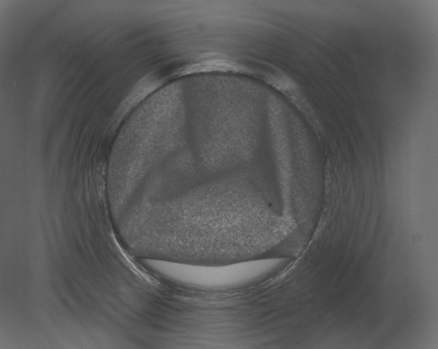 X0000080691233200701121716