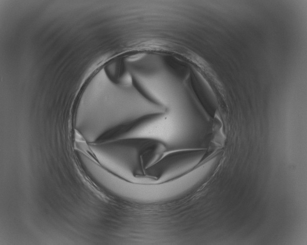 X0000080691234200701121716