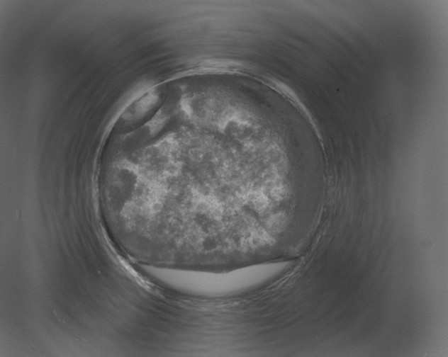 X0000080691235200701121716