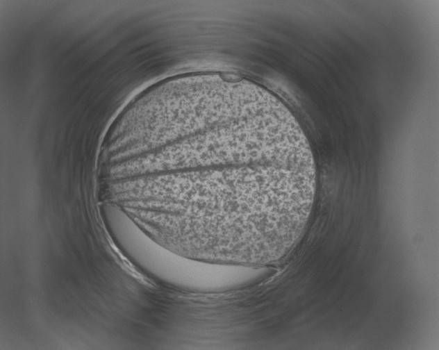 X0000080691236200701121716