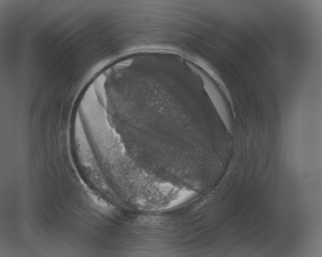 X0000080691237200701121716