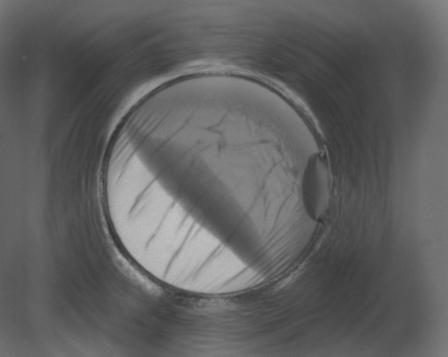 X0000080691239200701121716