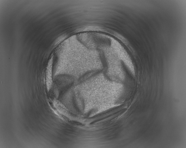 X0000080691241200701121717