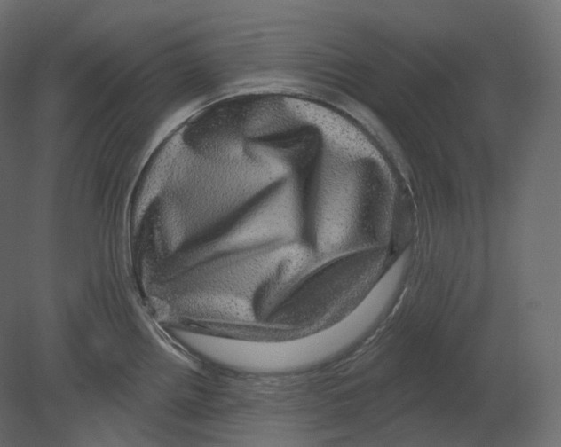 X0000080691242200701121717