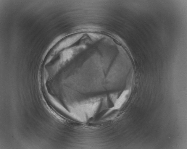 X0000080691243200701121717