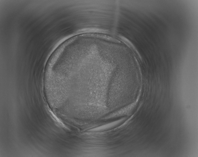 X0000080691244200701121717